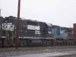 NS 5034